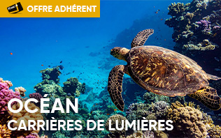 Carri&egrave;res des Lumi&egrave;res - Oc&eacute;an, Immersion dans le Monde Sous-Mar